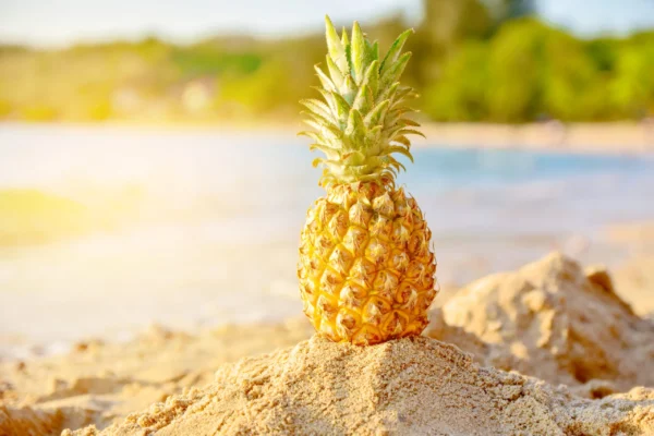 Pineapple Powder